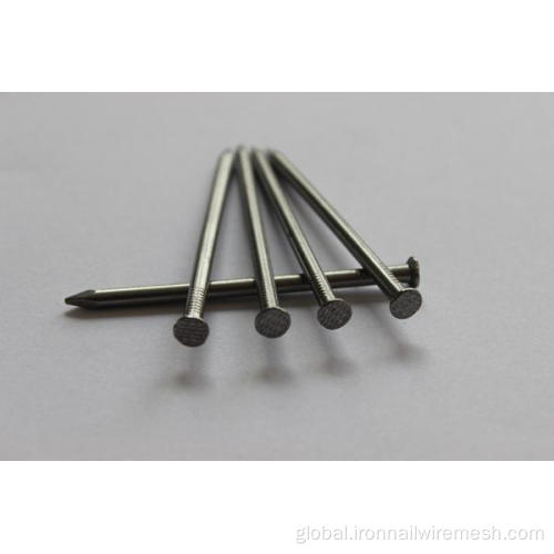 Iron Common Nails Polished Common round nails Manufactory